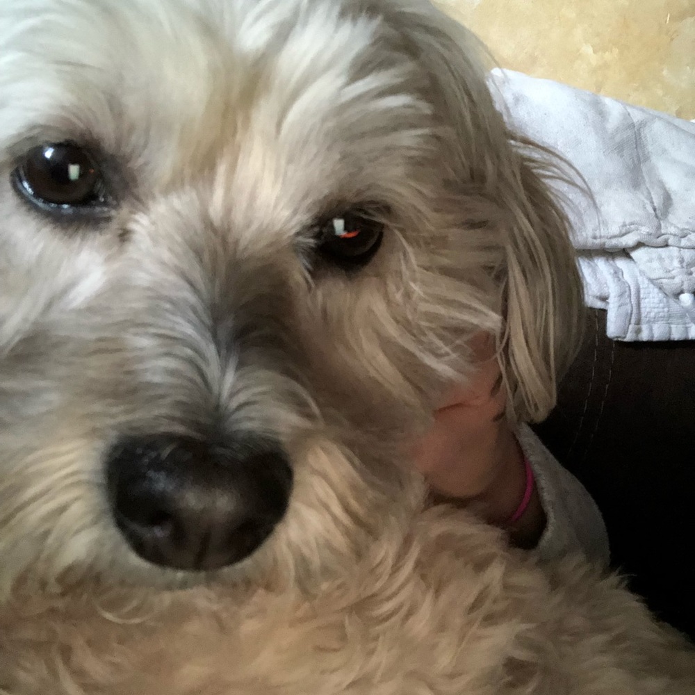 Meet your Posher, Chelsea